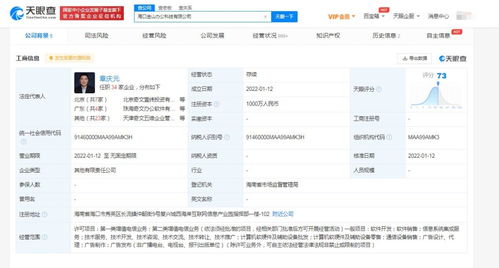 信息系统集成服务的价值与应用
