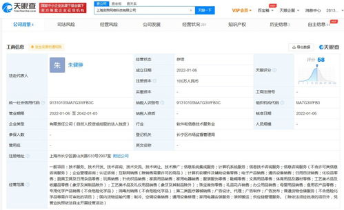 信息系统集成服务的核心价值与应用前景